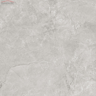 Плитка Laparet Pluto silverсветло-серый матовый (60х60)  арт. SG625820R